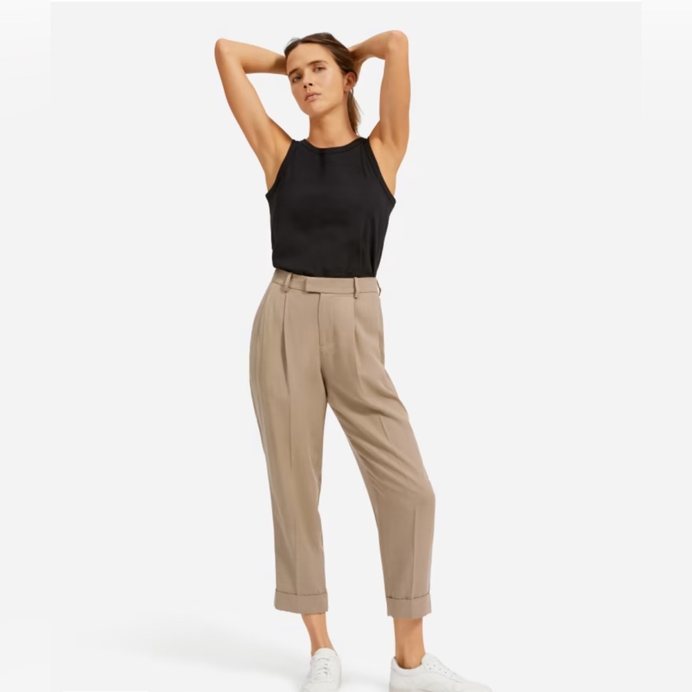 Everlane, The Put-Together Pleat Pant, Size 2